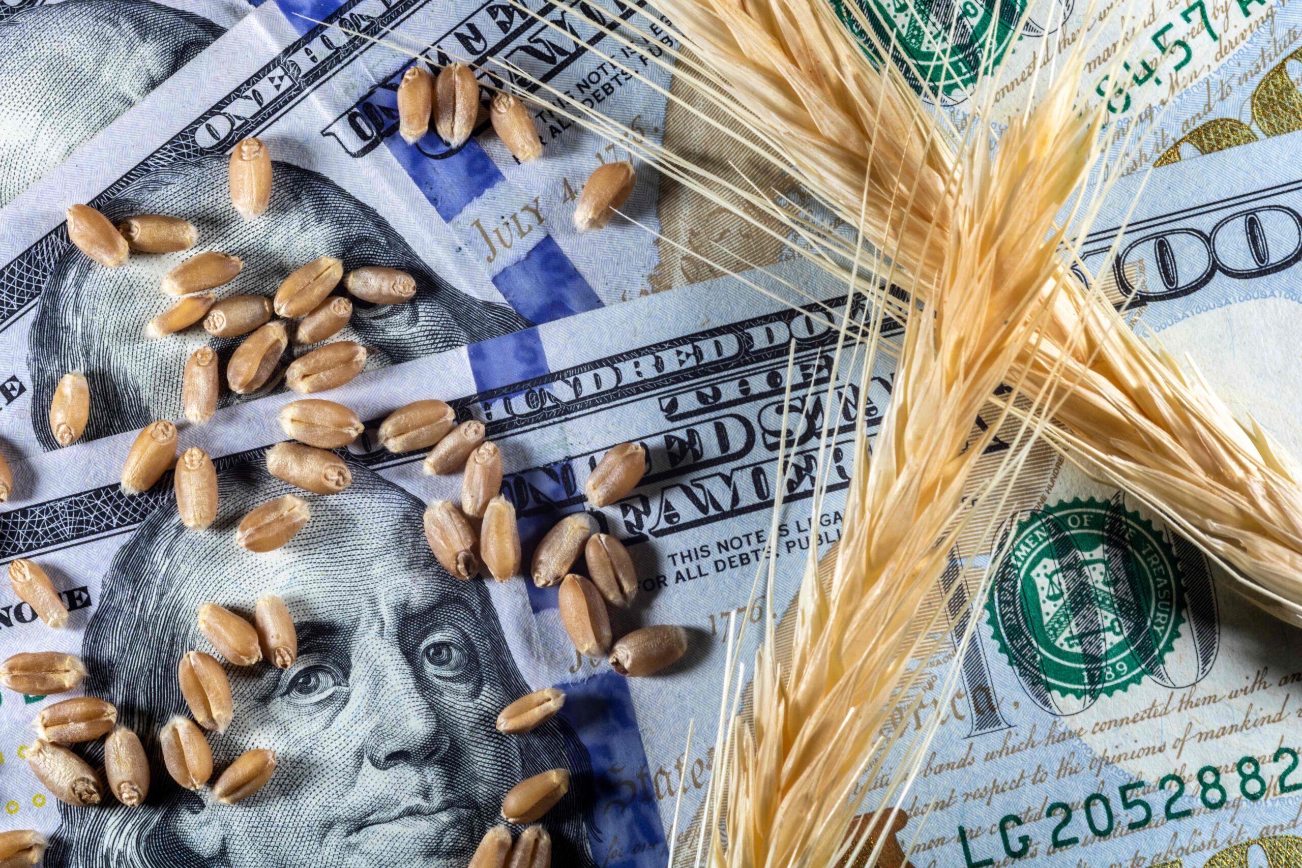 commodities investment, dollar and wheat, coffee
